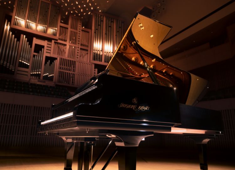 ズートンワン リサイタルツアー2026 使用楽器